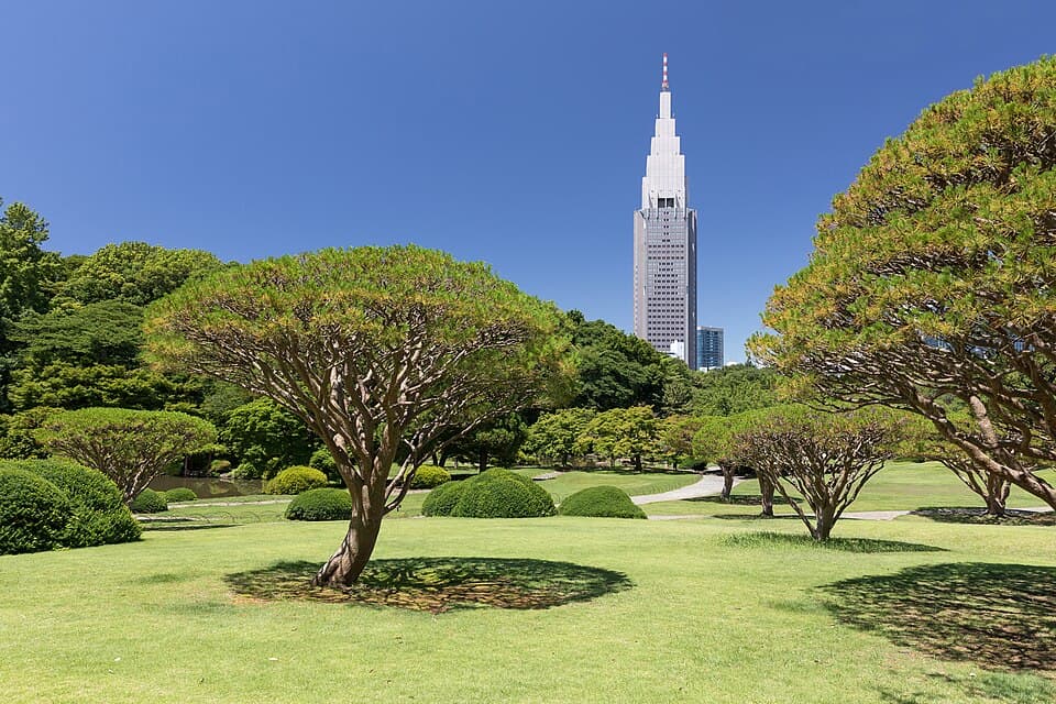 東京 桜の名所ガイド